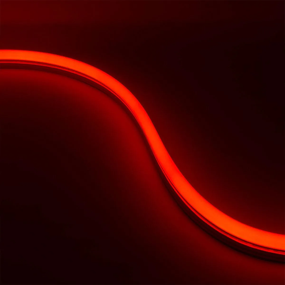 BLAZE Red Neon LED Strip Light, 32 feet Reel, 24V, Top Bending