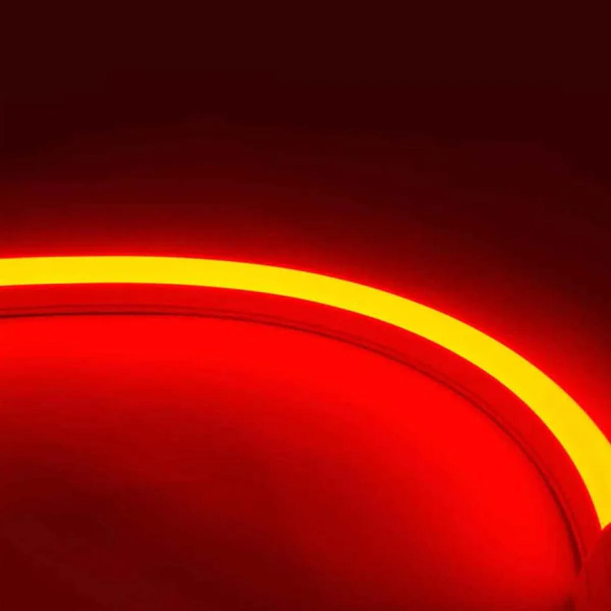 BLAZE Red Neon LED Strip Light, 32 feet Reel, 24V, Top Bending