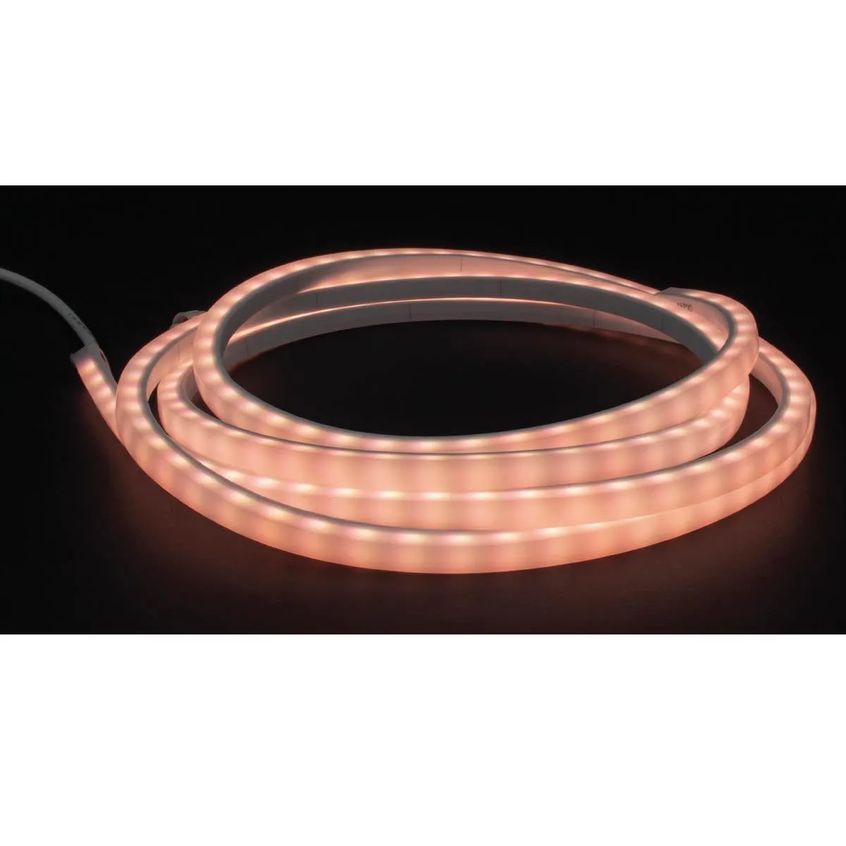 MicroLux Neon LED Strip Light, 370 Lumens /Ft, 3000K, 16Ft Reel, IP65 Wet locations, 24V