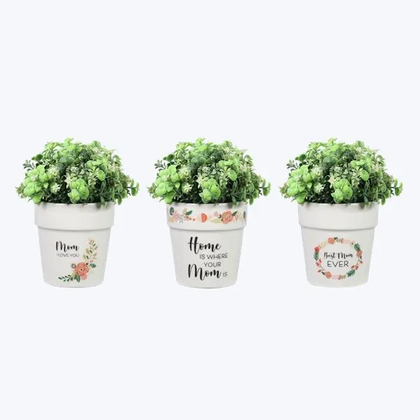 Mom Ceramic Planter, 3 Assorted Color