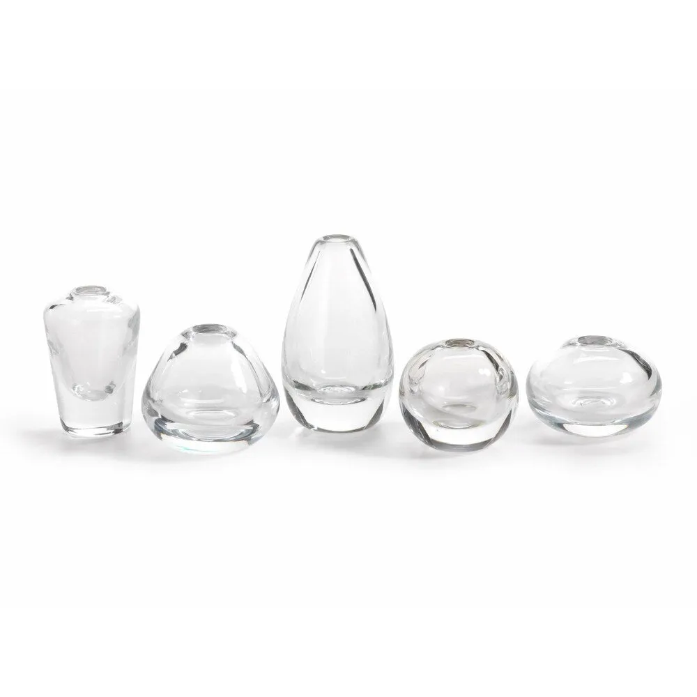 "Araceli" Clear Glass Vase (Set of 5)