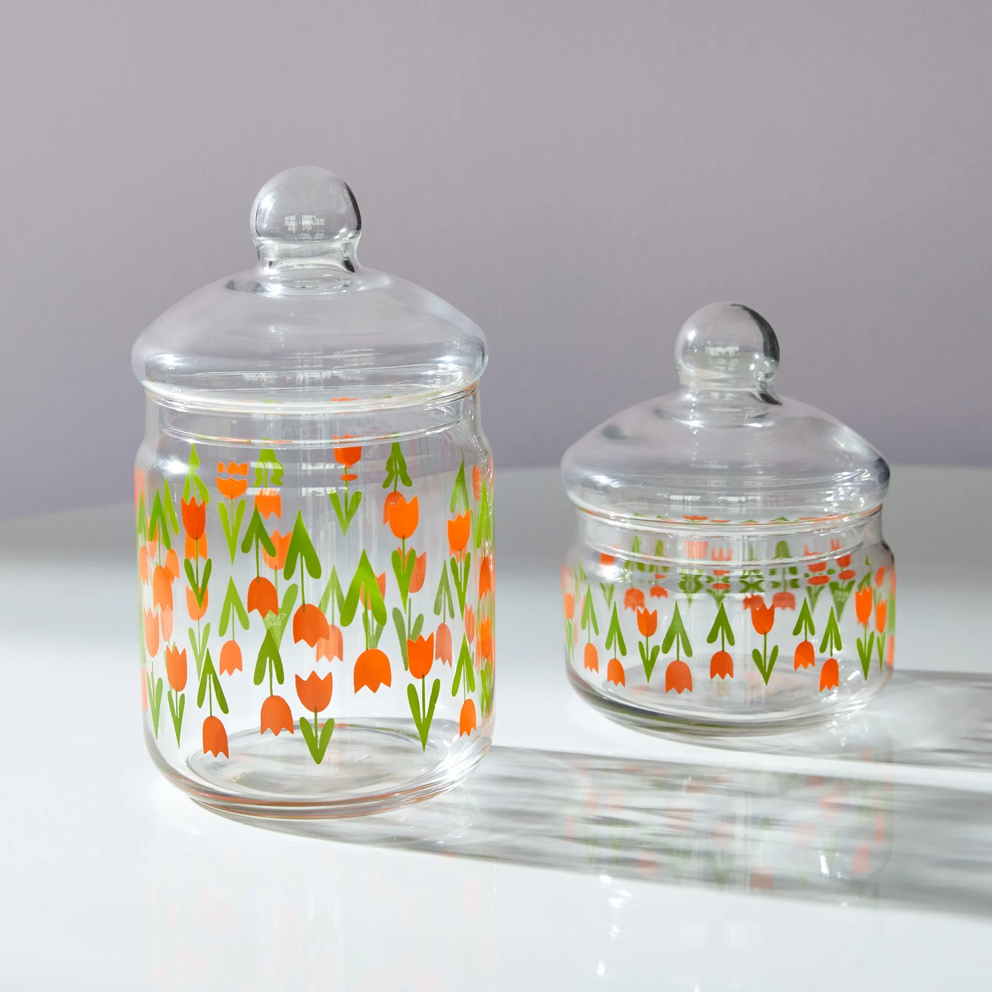 Retro Glass Jar with Lid - Tulips